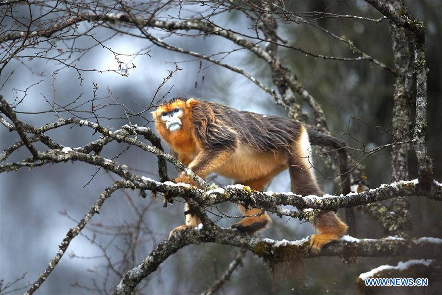 XINHUA PHOTOS OF THE DAY