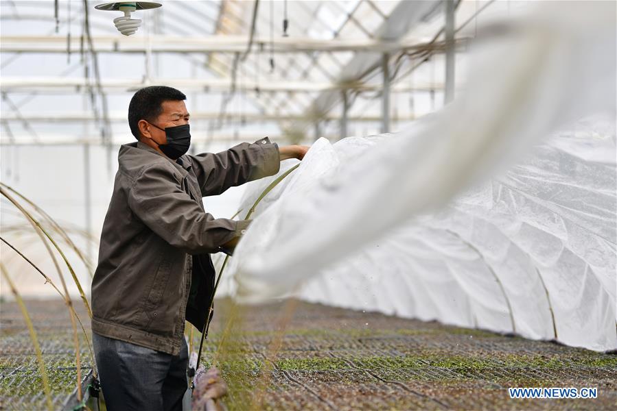 CHINA-GANSU-AGRICULTURE PRODUCTION (CN)