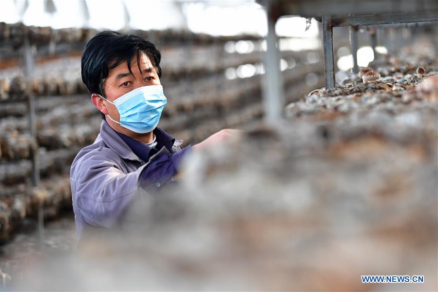 CHINA-GANSU-AGRICULTURE PRODUCTION (CN)