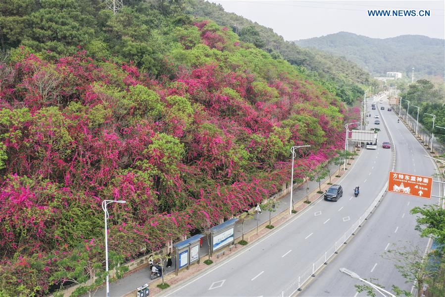 CHINA-NANNING-SPRING SCENERY (CN)