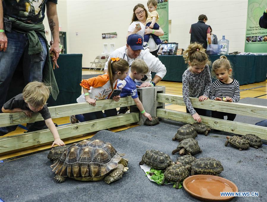 U.S.-ILLINOIS-LAKE FOREST-REPTILE RAMPAGE