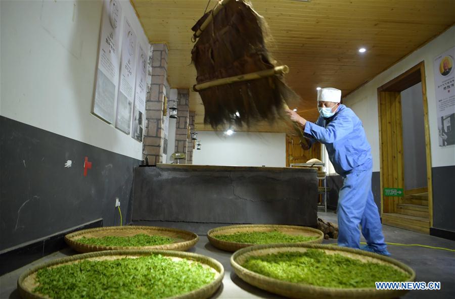 #CHINA-HUBEI-ENSHI-TEA INDUSTRY-PRODUCTION (CN)