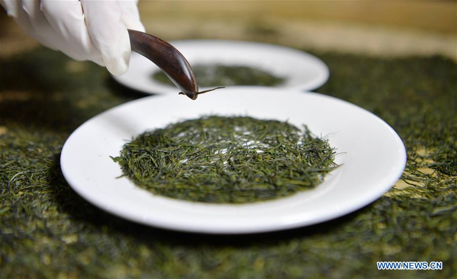 #CHINA-HUBEI-ENSHI-TEA INDUSTRY-PRODUCTION (CN)