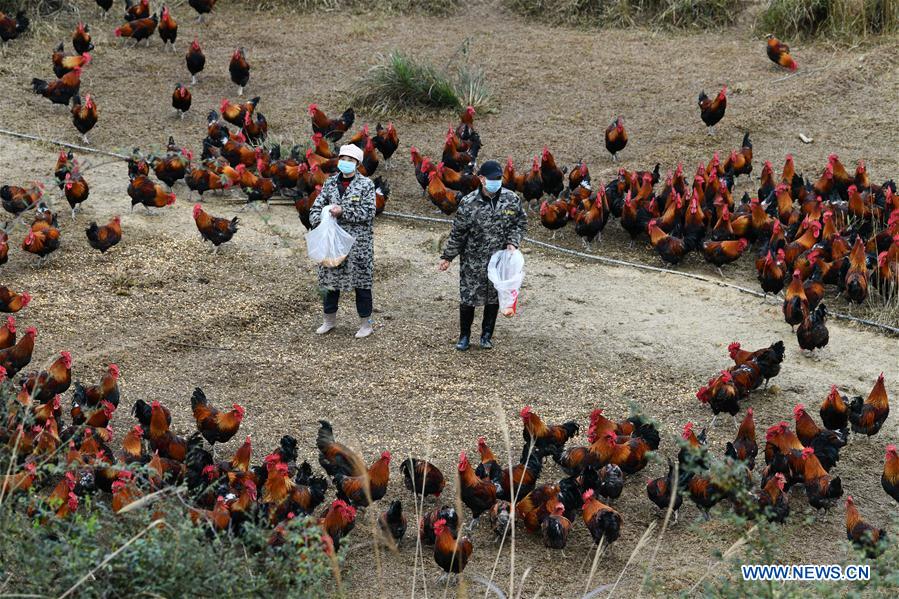 CHINA-GUIZHOU-POVERTY ALLEVIATION (CN)