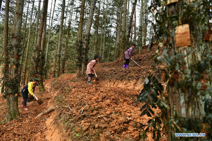 CHINA-GUIZHOU-POVERTY ALLEVIATION (CN)