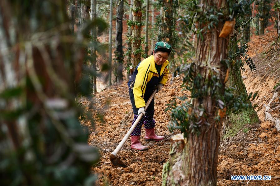 CHINA-GUIZHOU-POVERTY ALLEVIATION (CN)