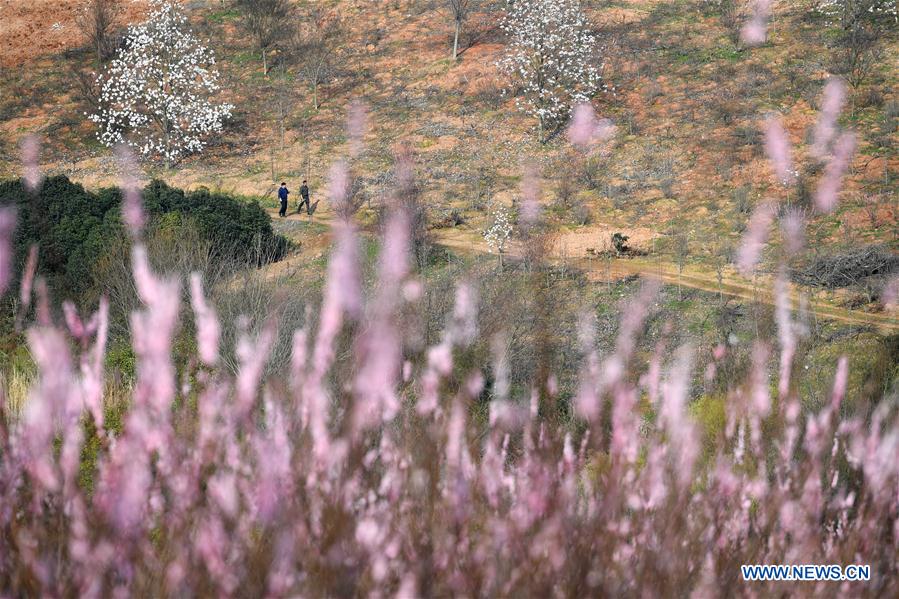 CHINA-ANHUI-FEIXI-POVERTY ALLEVIATION-AFFORESTATION (CN)