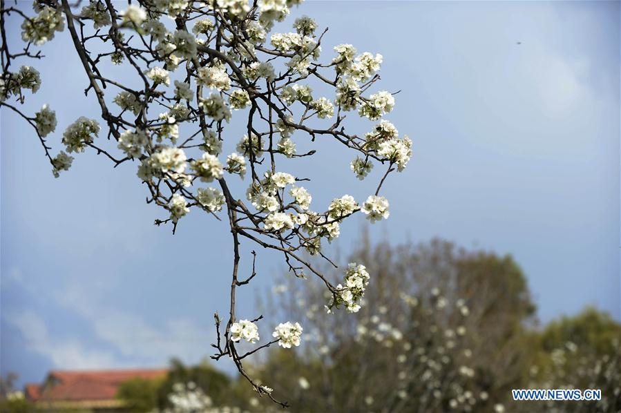 PAKISTAN-ISLAMABAD-SPRING