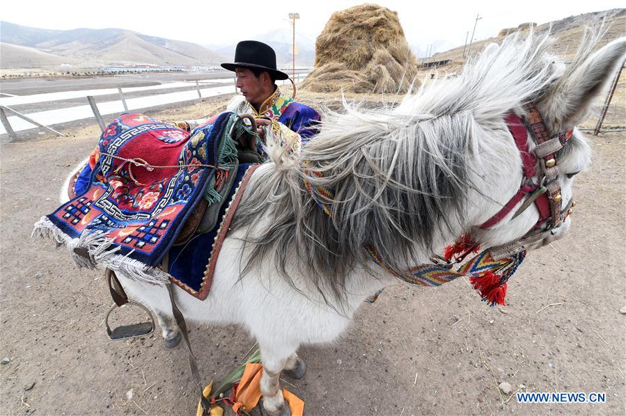 CHINA-GANSU-POVERTY ALLEVIATION-BREEDING-TOURISM-INDUSTRY (CN)