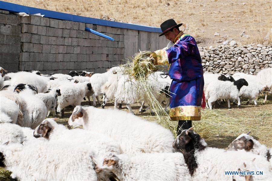 CHINA-GANSU-POVERTY ALLEVIATION-BREEDING-TOURISM-INDUSTRY (CN)