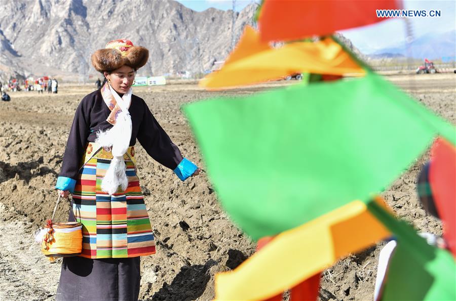 CHINA-TIBET-AGRICULTURE-SPRING PLOUGHING (CN)