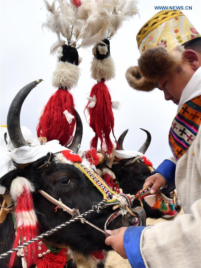 CHINA-TIBET-AGRICULTURE-SPRING PLOUGHING (CN)