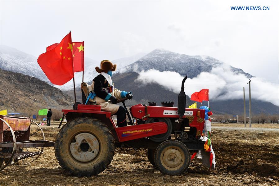 CHINA-TIBET-AGRICULTURE-SPRING PLOUGHING (CN)