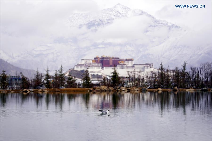 (InTibet)CHINA-LHASA-POTALA PALACE-SNOW (CN)