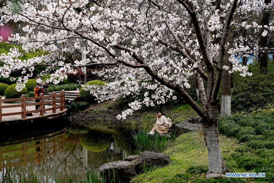 CHINA-SHANGHAI-SPRING-SCENERY (CN)