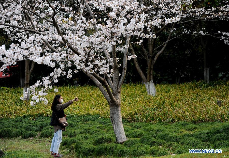 CHINA-SHANGHAI-SPRING-SCENERY (CN)