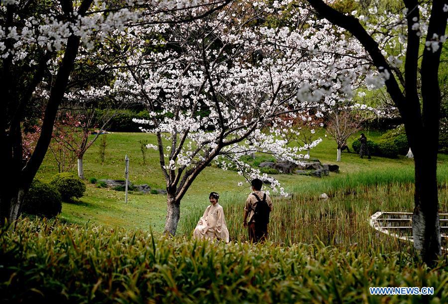 CHINA-SHANGHAI-SPRING-SCENERY (CN)