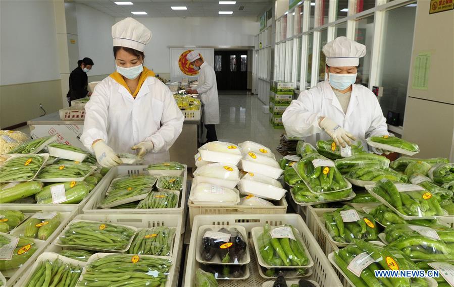 CHINA-HEBEI-MODERN AGRICULTURAL ZONE