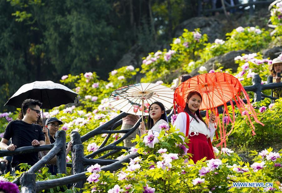 CHINA-CHONGQING-DIANJIANG-PEONY-BLOSSOM (CN)