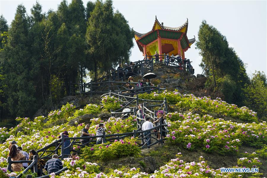 CHINA-CHONGQING-DIANJIANG-PEONY-BLOSSOM (CN)