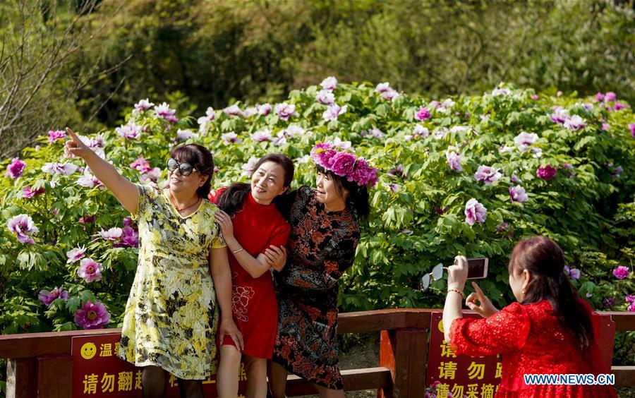 CHINA-CHONGQING-DIANJIANG-PEONY-BLOSSOM (CN)