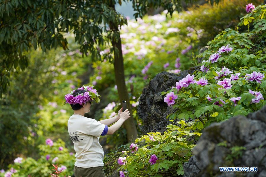 CHINA-CHONGQING-DIANJIANG-PEONY-BLOSSOM (CN)