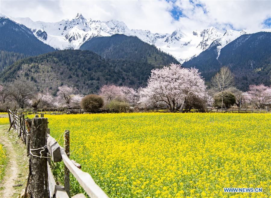 china-tibet-nyingchi-scenery (cn)