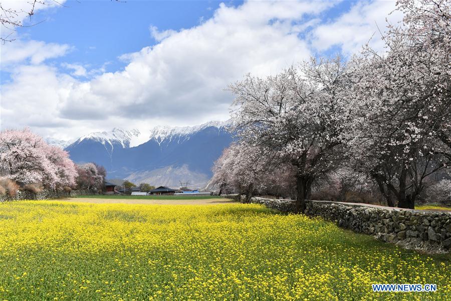 CHINA-TIBET-NYINGCHI-SCENERY (CN)