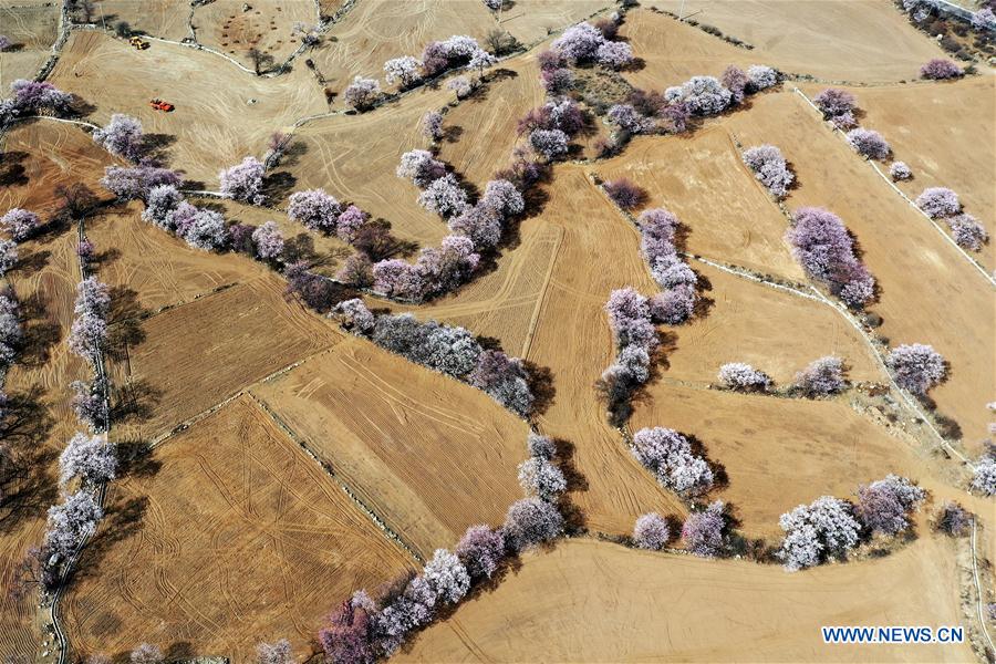 CHINA-TIBET-NYINGCHI-SCENERY (CN)