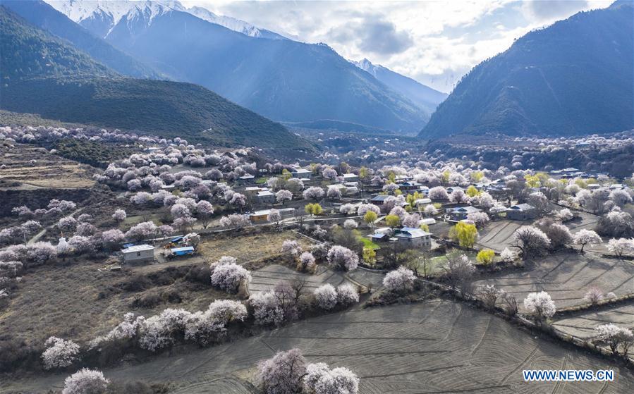 CHINA-TIBET-NYINGCHI-SCENERY (CN)