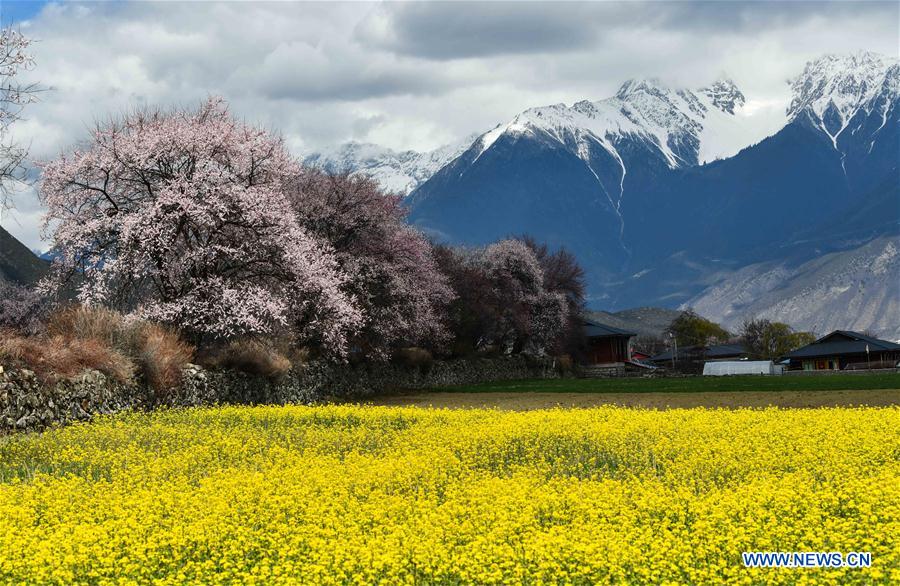 CHINA-TIBET-NYINGCHI-SCENERY (CN)