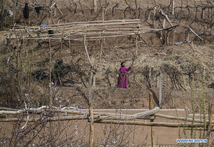 XINHUA PHOTOS OF THE DAY