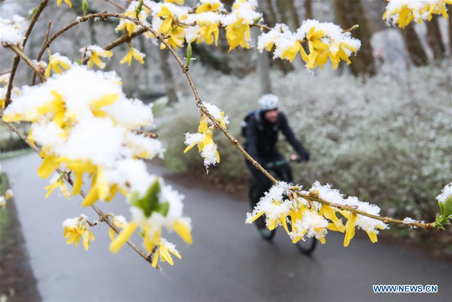 GERMANY-BERLIN-SNOW