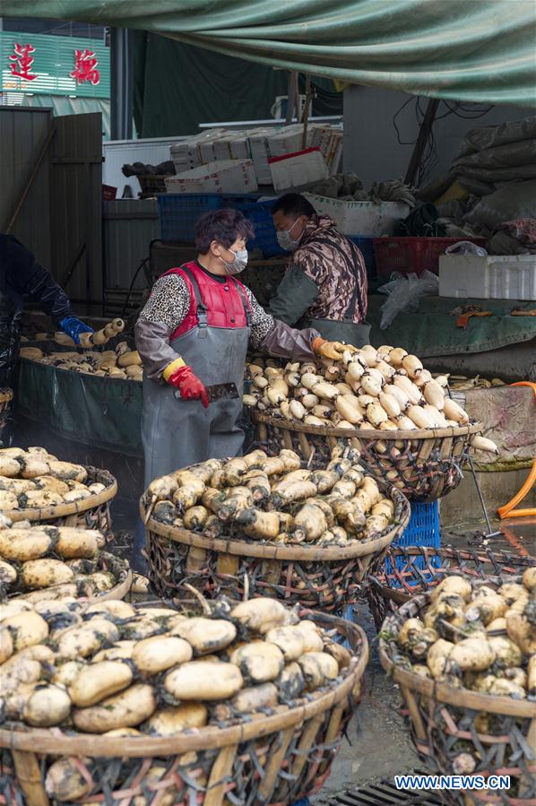 CHINA-HUBEI-XIANGYANG-AGRICULTURAL PRODUCTS (CN)