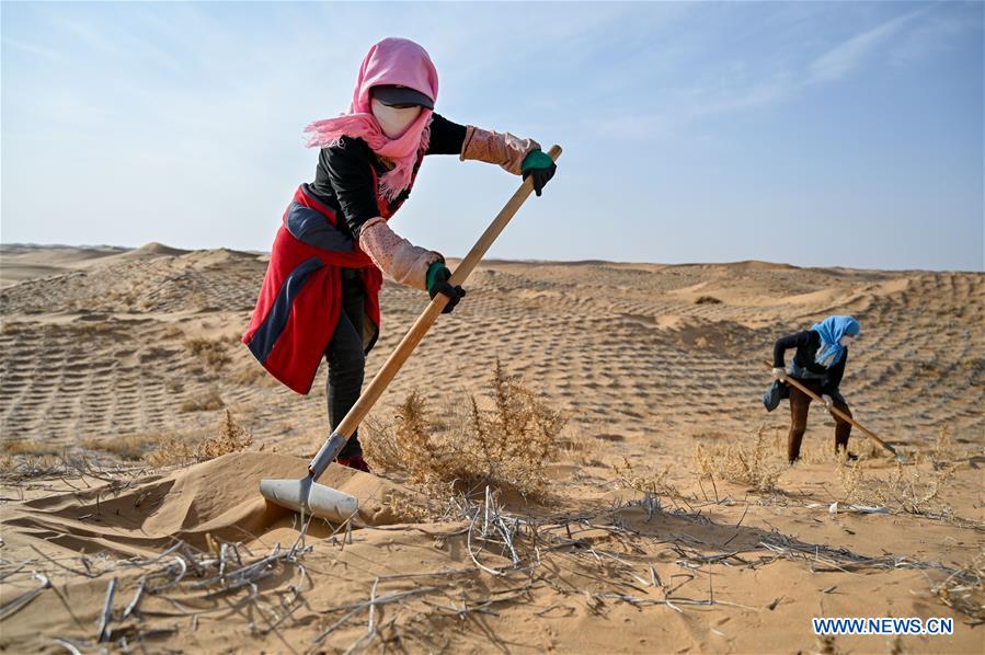 CHINA-INNER MONGOLIA-TENGGER DESERT-DESERTIFICATION CONTROL (CN)