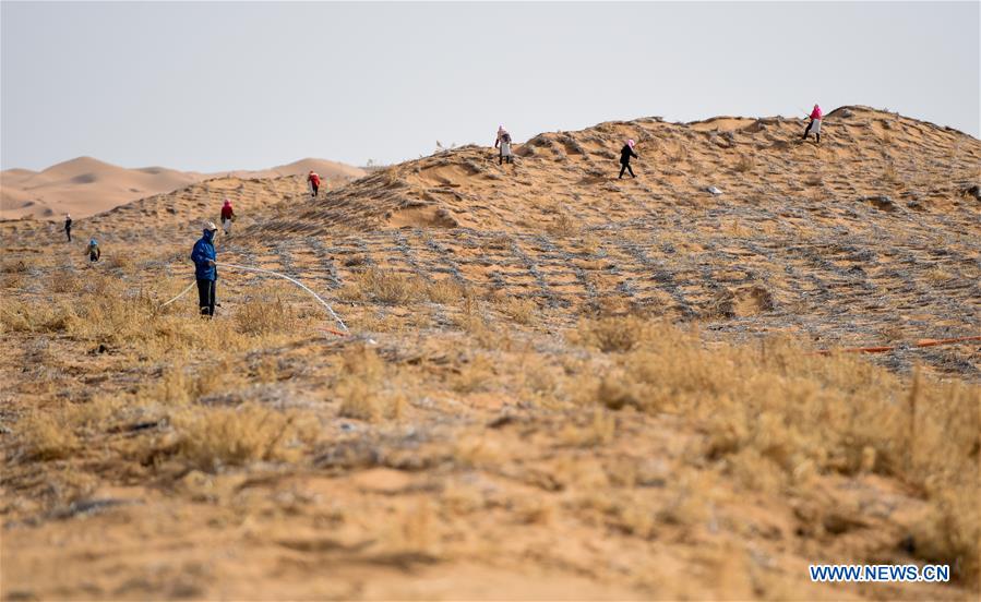 CHINA-INNER MONGOLIA-TENGGER DESERT-DESERTIFICATION CONTROL (CN)