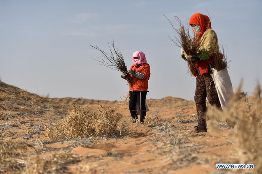 CHINA-INNER MONGOLIA-TENGGER DESERT-DESERTIFICATION CONTROL (CN)