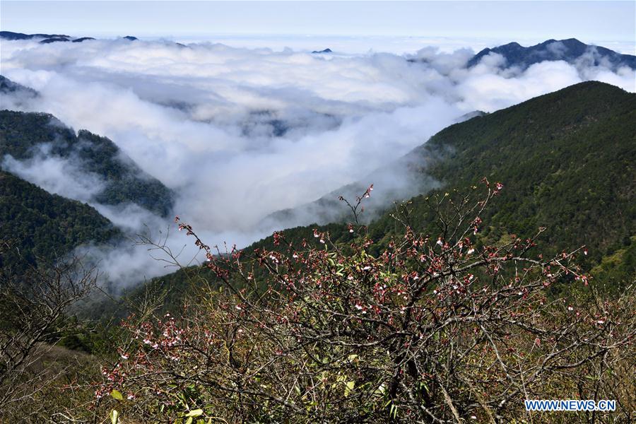 CHINA-FUJIAN-WUYISHAN NATIONAL PARK-SCENERY (CN)