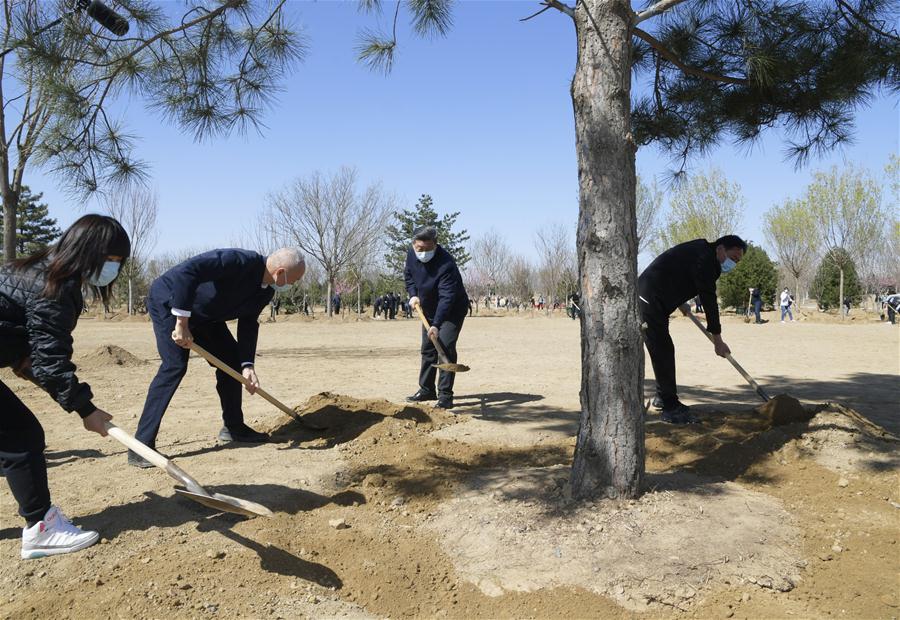 CHINA-BEIJING-LEADERS-TREE PLANTING (CN)