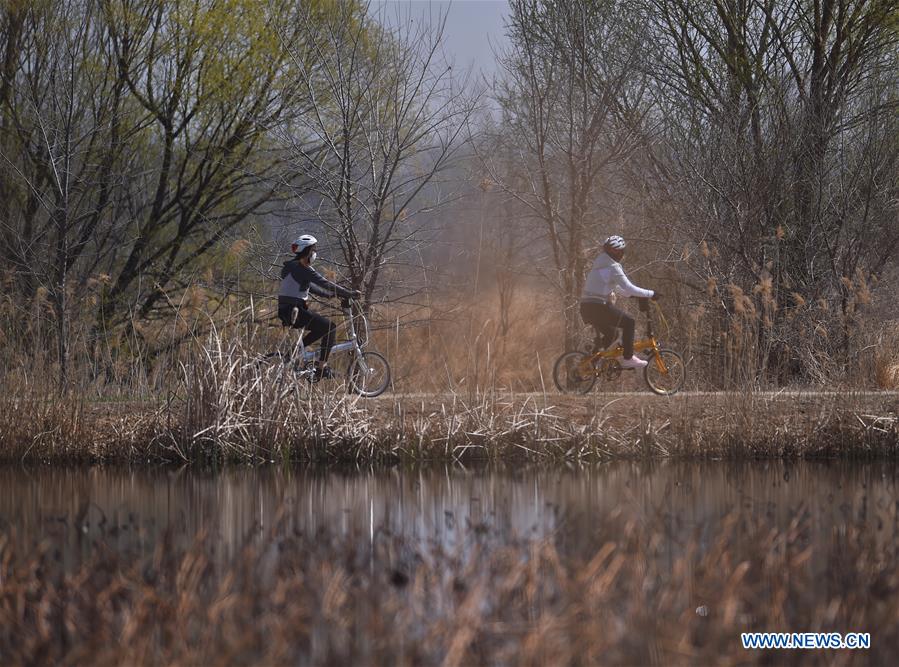 CHINA-BEIJING-WETLAND-SCENERY (CN)