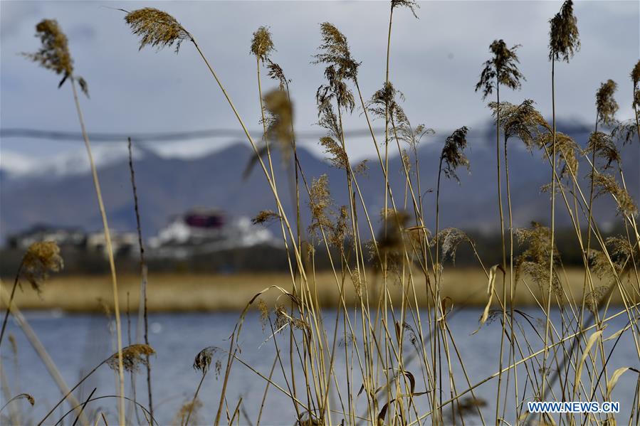 CHINA-TIBET-LHASA-WETLAND (CN)