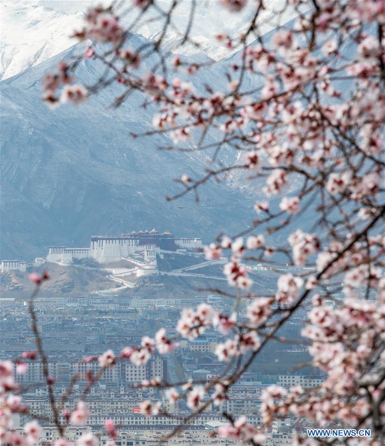 CHINA-TIBET-LHASA-SPRING (CN)