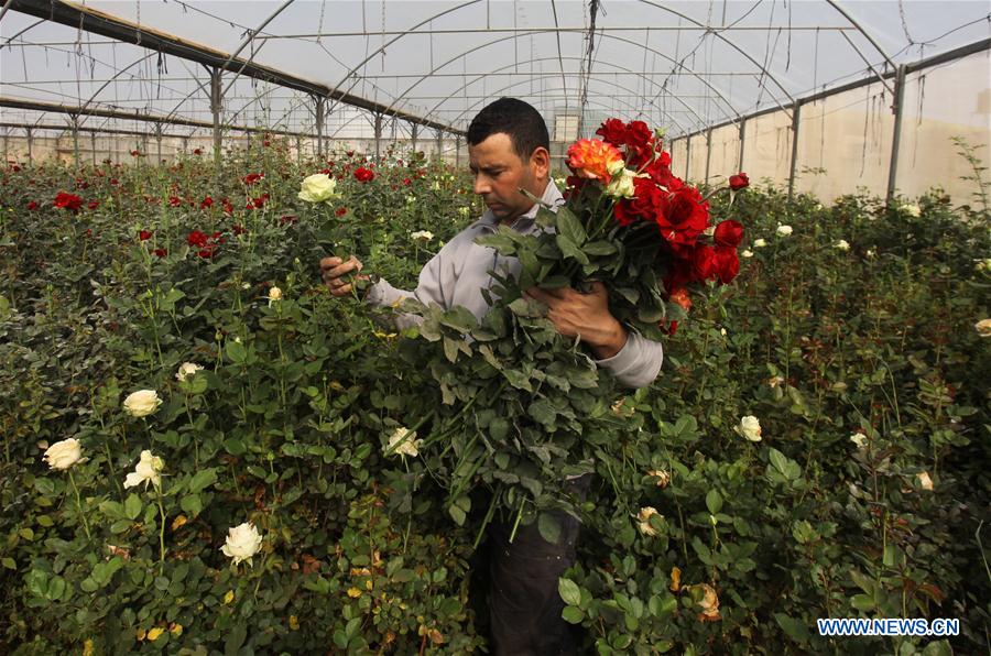 MIDEAST-NABLUS-COVID-19-FLOWER BUSINESS-HIT