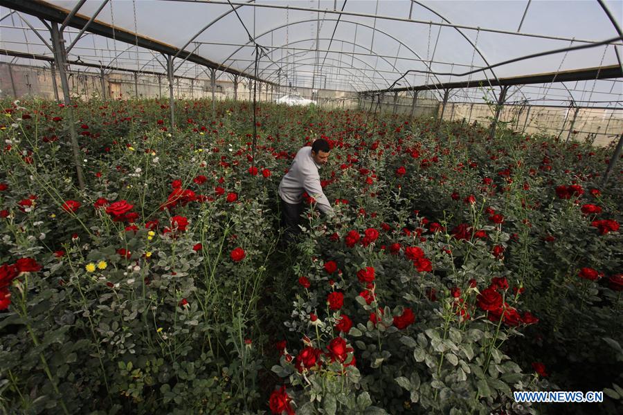 MIDEAST-NABLUS-COVID-19-FLOWER BUSINESS-HIT