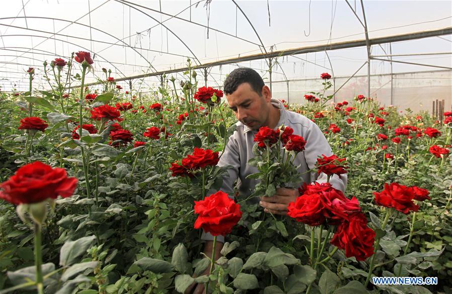 MIDEAST-NABLUS-COVID-19-FLOWER BUSINESS-HIT