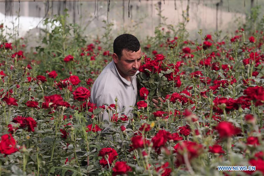 MIDEAST-NABLUS-COVID-19-FLOWER BUSINESS-HIT