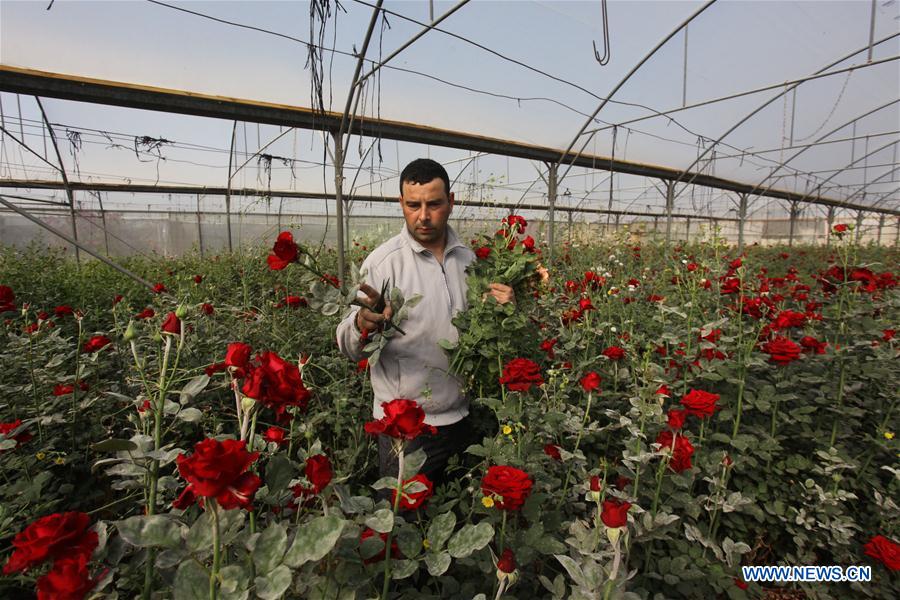 MIDEAST-NABLUS-COVID-19-FLOWER BUSINESS-HIT