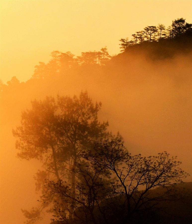 CHINA-FUJIAN-WUYI MOUNTAIN-SCENERY (CN)