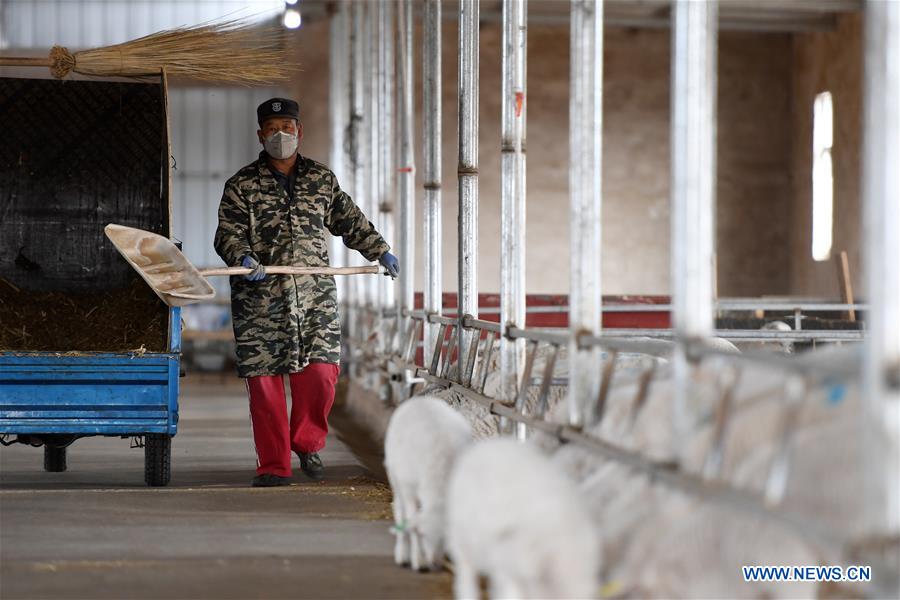 CHINA-GANSU-SHEEP-POVERTY ALLEVIATION (CN)