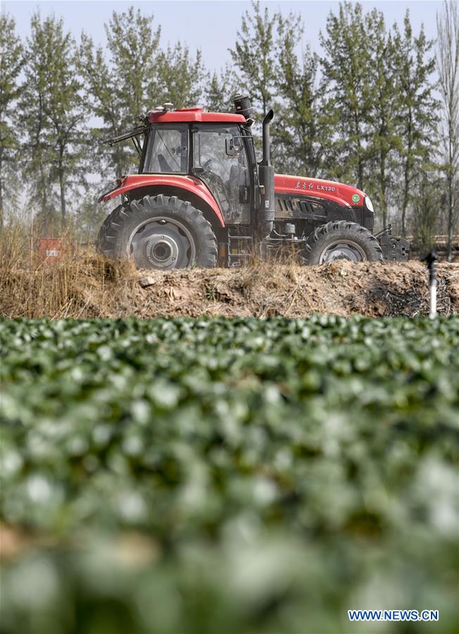 CHINA-NINGXIA-WUZHONG-INTELLIGENT AGRICULTURE (CN)